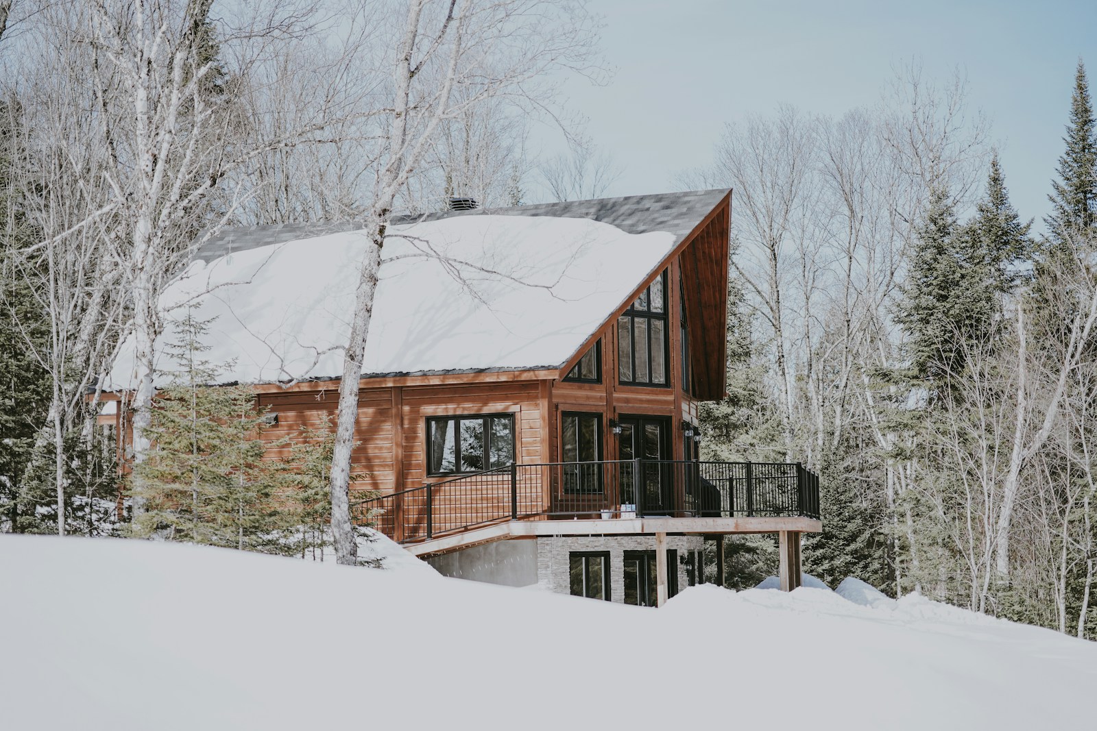 home, cabin near snowy forest